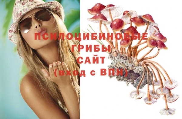 ALPHA PVP Сосновоборск