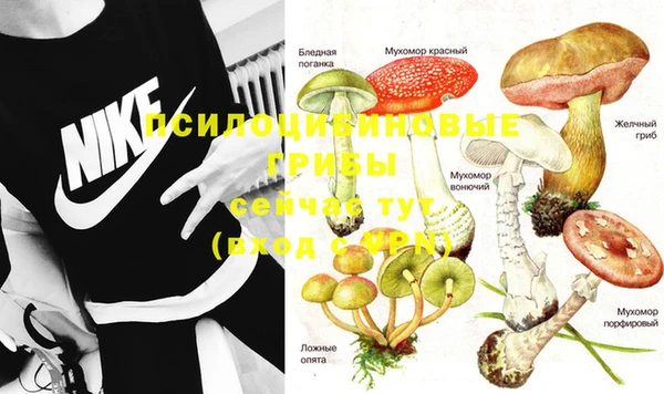 mix Снежинск