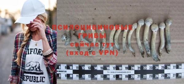 мдпв Слюдянка